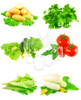 Collage (collection )of Cucumbers,tomato,marrow, parsley,lettuce on white background Isolated over white.