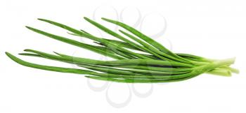 Young onion on white background. Close-Up. Isolated