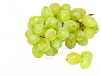 Branch of green grapes . Isolated over white