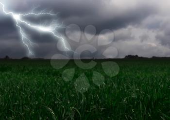 Lightning across the countryside field. Summer