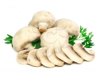 Ripe mushroom champignon with green parsley leaves isolated on white background.