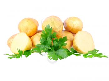 Young potatoes, decorating of parsley . Isolated over white