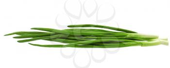 Young onion on white background. Close-Up. Isolated