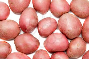 Young pink potato. Isolated over white.