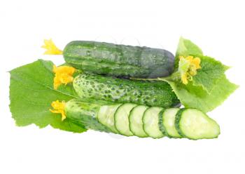Cutting cucumbers on  with green leaf and yellow blossom cluster. Isolated over white.
