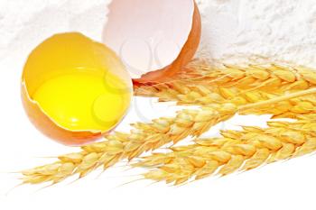 Spikelets of wheat with egg on flour spillage.Isolated