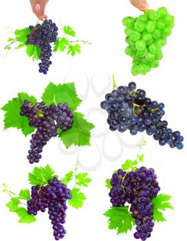 Collage(set) of various grapes with foliage. Isolated over white