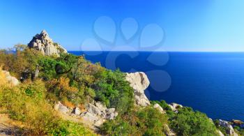 South part of Crimea peninsula, beach   landscape. Pine.