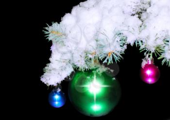 Christmas and New Year decoration- balls with real snow-covered fir branches .On black background