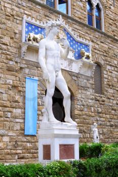 Michelangelo's replica David statue conversing with a pigeon. Florence, Italy