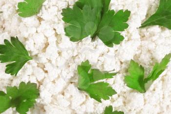 Fresh cottage cheese (curd) heap with parsley, isolated on white background.