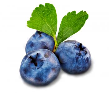 Royalty Free Photo of Three Blueberries