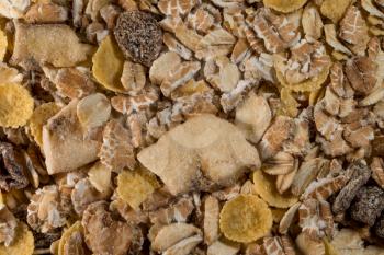 Cereal Granola Close-Up