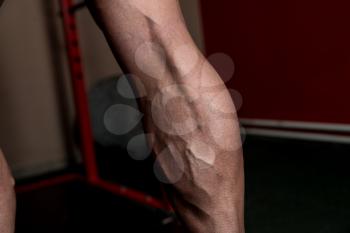 Muscular Man Calves