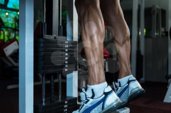 Sporty Legs Calf