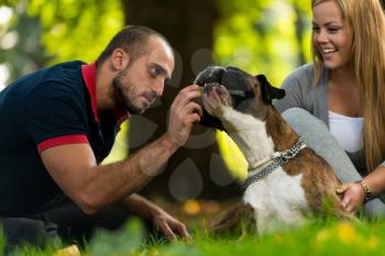 Couple Playing With Dog