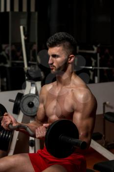 Muscular Men Doing Heavy Weight Exercise For Biceps