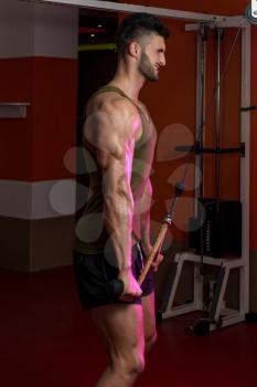Muscular Men Doing Heavy Weight Exercise For Triceps