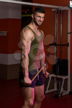 Triceps Exercise