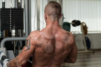 Healthy Male Doing Back Exercises In The Gym