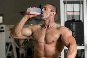 Handsome Muscular Man Drinking Protein Drink