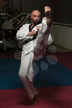 Mature Man Practicing His Karate Moves
