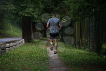 Young Man Running In Wooded Forest Area - Training And Exercising For Trail Run Marathon Endurance - Fitness Healthy Lifestyle Concept