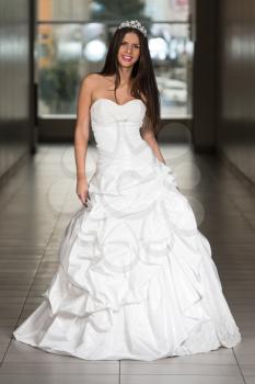 Beautiful Bride In Her Wedding Dress