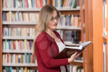Portrait Of An Caucasian College Student Woman In Library - Shallow Depth Of Field