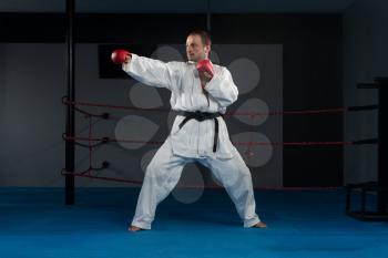 Young Man Practicing His Karate Moves - White Kimono - Black Belt