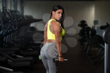Sexy Latina Woman Working Out Biceps In Fitness Center - Dumbbell Concentration Curls