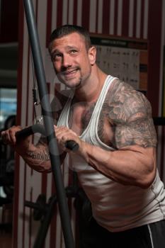 Adult Bodybuilder Doing Heavy Weight Exercise For Triceps