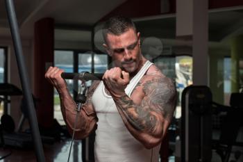 Adult Bodybuilder Doing Heavy Weight Exercise For Biceps