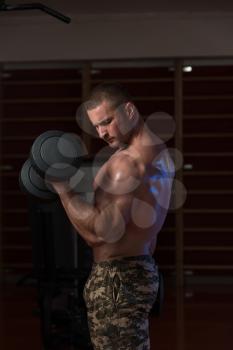 Bodybuilder Working Out Biceps - Dumbbell Concentration Curls - Best Exercise For Bicep