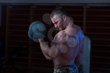 Bodybuilder Working Out Biceps - Dumbbell Concentration Curls - Best Exercise For Bicep