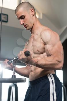 Young Muscular Fitness Bodybuilder Doing Heavy Weight Exercise For Biceps On Machine With Cable  In The Gym