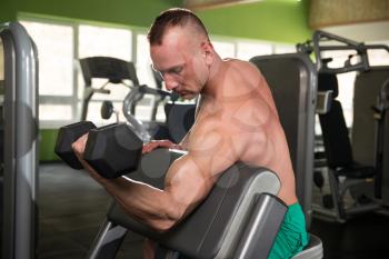 Young Man Working Out Biceps In Gym - Dumbbell Concentration Curls