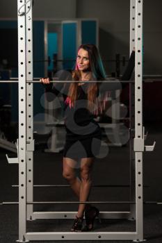 Beautiful Young Woman With Long Hair In A Black Skirt Posing In Gym - Squat Cage