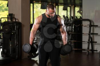 Bodybuilder Working Out Biceps In The Gym - Dumbbell Concentration Curls