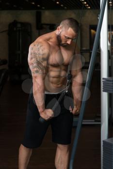 Big Man In The Gym Is Exercising Tricpes On Machine - Muscular Athletic Bodybuilder Model Exercise In Fitness Center