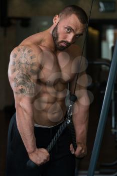 Big Man In The Gym Is Exercising Tricpes On Machine - Muscular Athletic Bodybuilder Model Exercise In Fitness Center