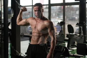 Young Strong Man In The Gym And Exercising Biceps On Machine - Muscular Athletic Bodybuilder Fitness Model Exercise Bicep