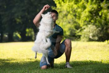 Man And German Spitz Sitting In The Park - Together Enjoying The Time - Playing Around