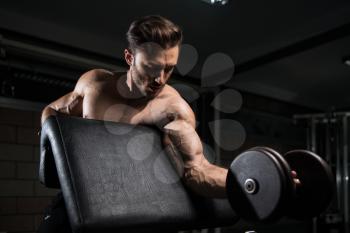 Handsome Man Working Out Biceps In A Dark Gym - Dumbbell Concentration Curls