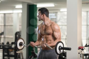 Handsome Hairy Man Working Out Biceps In A Fitness Center Gym