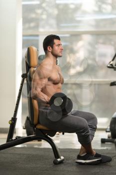 Healthy Hairy Man Working Out Biceps In A Fitness Center Gym - Dumbbell Concentration Curls