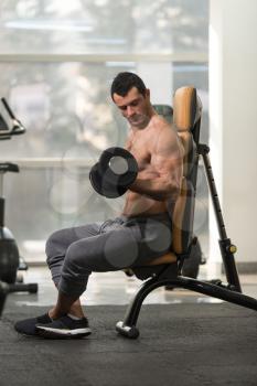 Handsome Hairy Man Working Out Biceps In A Fitness Center Gym - Dumbbell Concentration Curls