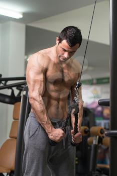 Young Hairy Muscular Fitness Bodybuilder Doing Heavy Weight Exercise For Triceps On Machine In The Gym