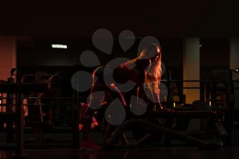 Silhouette Woman Exercising Back With Dumbbells In The Gym And Flexing Muscles - Muscular Athletic Bodybuilder Fitness Model Doing Dumbbell Concentration Curls
