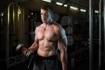 Muscular Man Doing Heavy Weight Exercise For Biceps With Dumbbells In Modern Fitness Center Gym